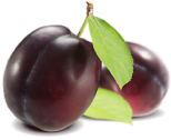 Oferta arboles frutales