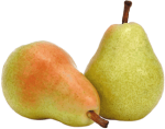 Oferta arboles frutales