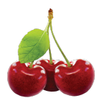 Oferta arboles frutales
